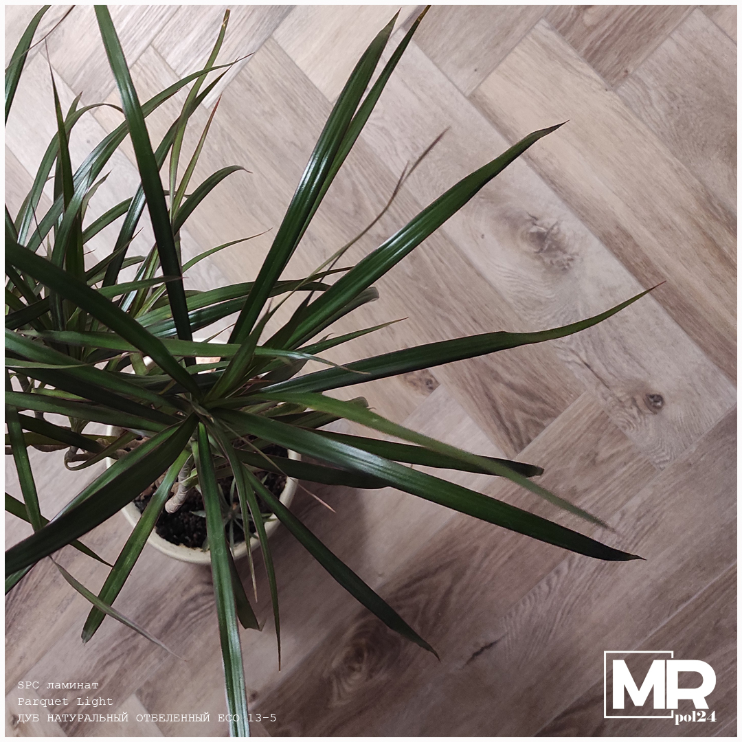 Укладка SPC ламината Alpine Floor Parquet Light Дуб натуральный отбеленный ЕСО 13-5 от наших мастеров